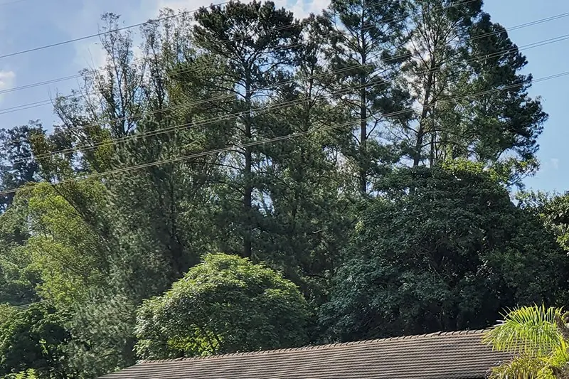 Bloco alongado do centro de fisioterapia, de janelas verdes, visto do gramado