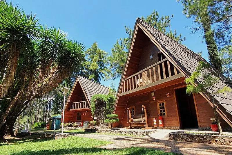Chalé Luxo em madeira, de telhado triangular, cercado de gramado e palmeira