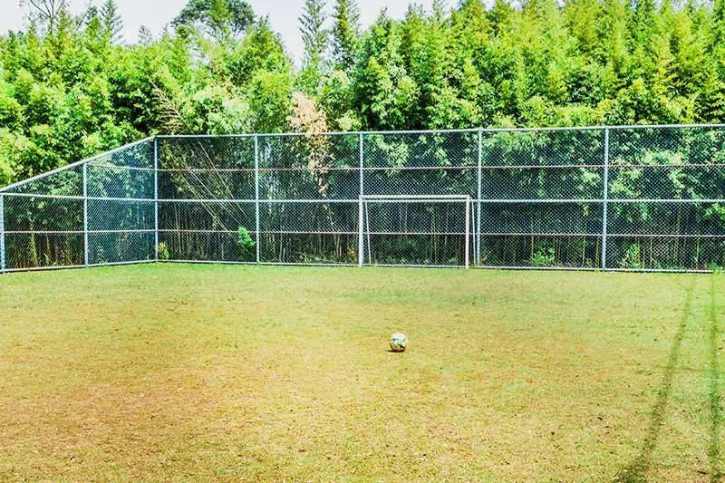Campo de futebol gramado com o gol ao fundo e a mata fechando o horizonte