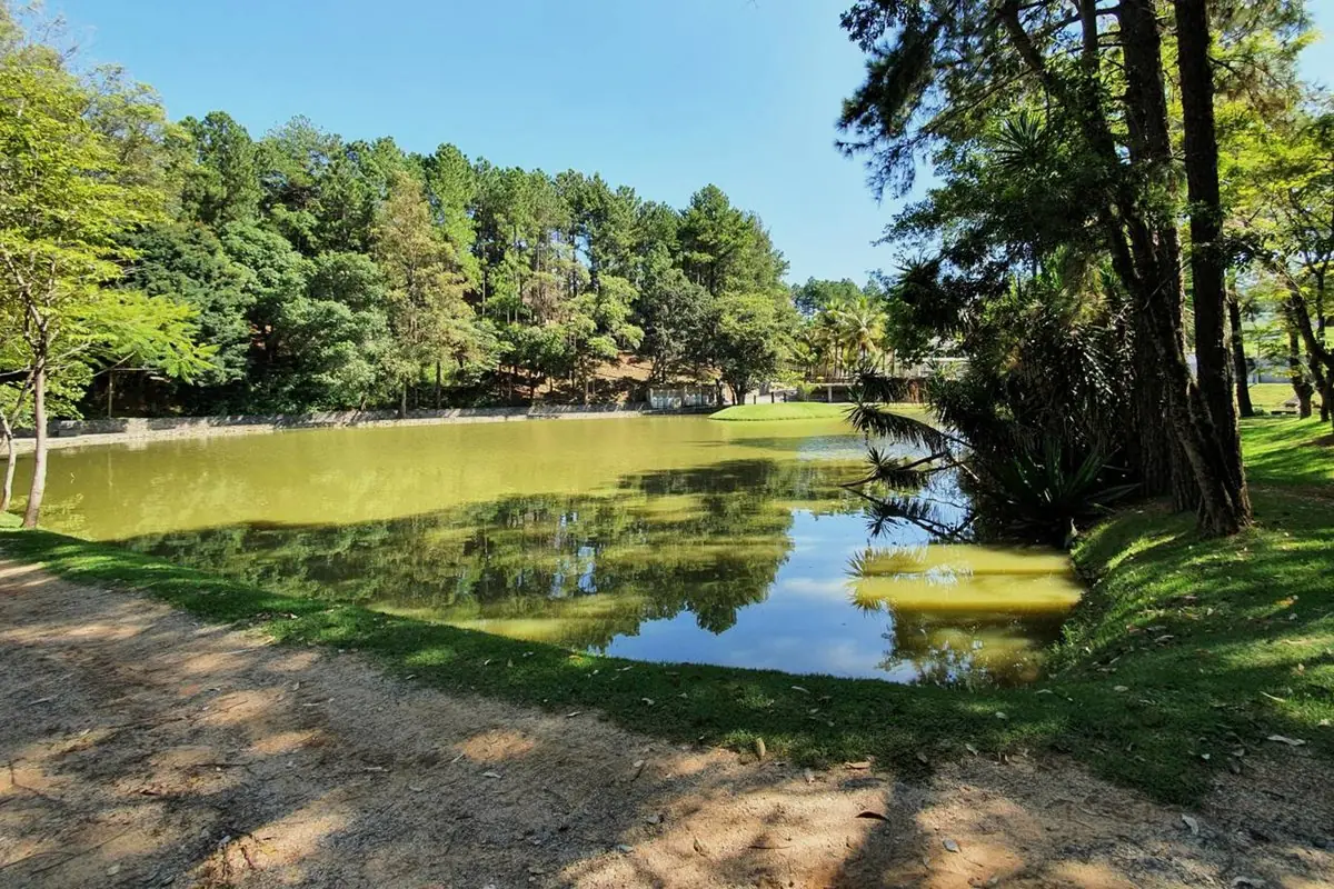 Lago visto da margem, com a vegetação refletida na água e a pista de caminhada ao lado