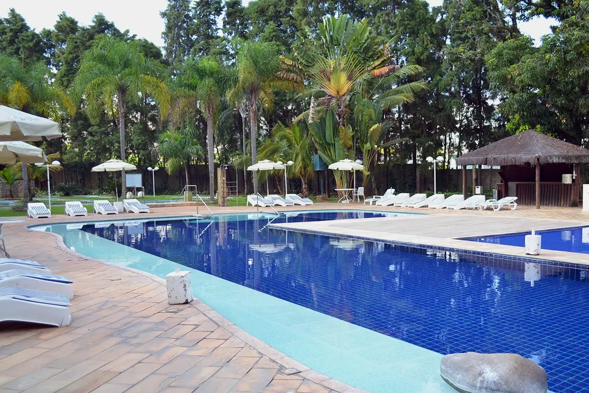 Piscina externa alongada com espreguiçadeiras brancas de um lado e mata de palmeiras do outro