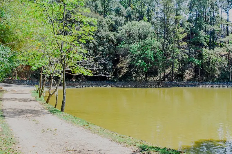 Trecho de pista de terra margeando o lago, com a mata do outro lado da água