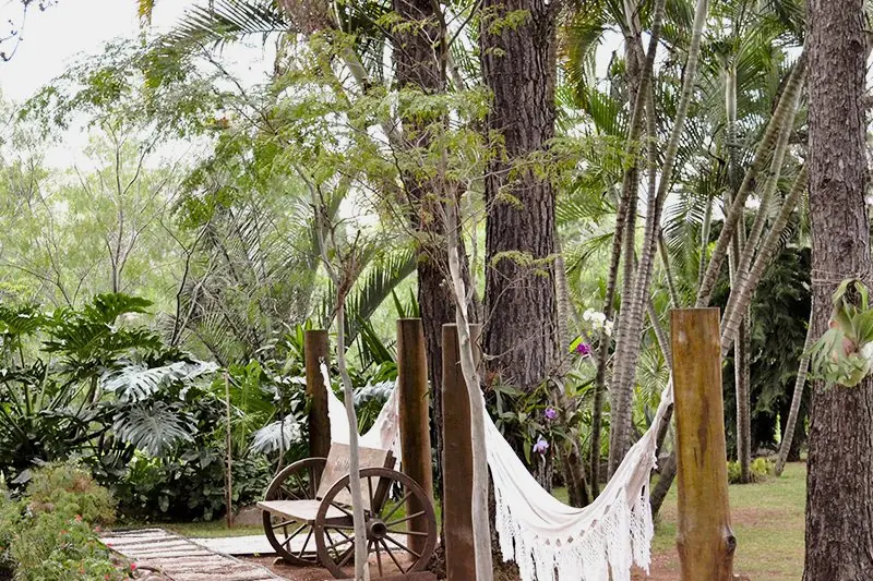 Redes brancas armadas entre troncos, à sombra da mata, com deque de madeira ao lado